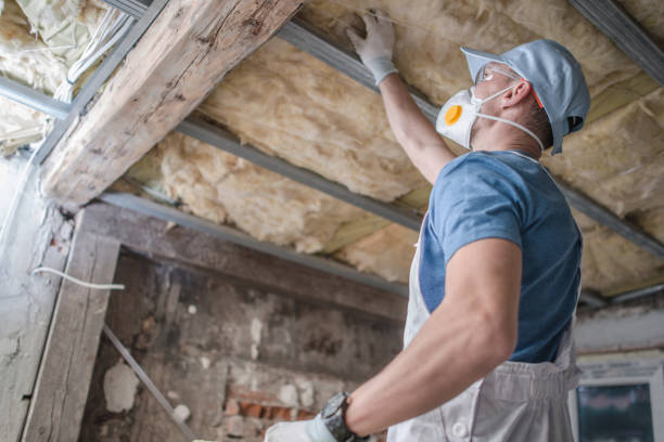 Best Insulation for Specific Applications in Hillview, KY