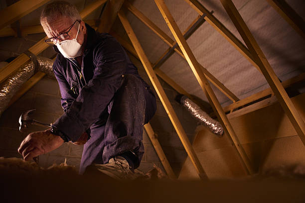 Best Insulation Installation Services in Hillview, KY